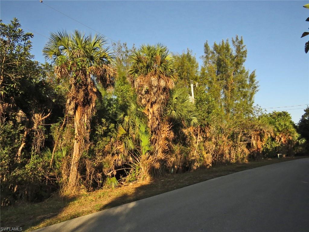 DINKINS BAYOU - Land