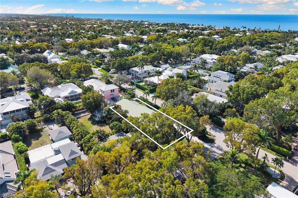 OLDE NAPLES - Residential