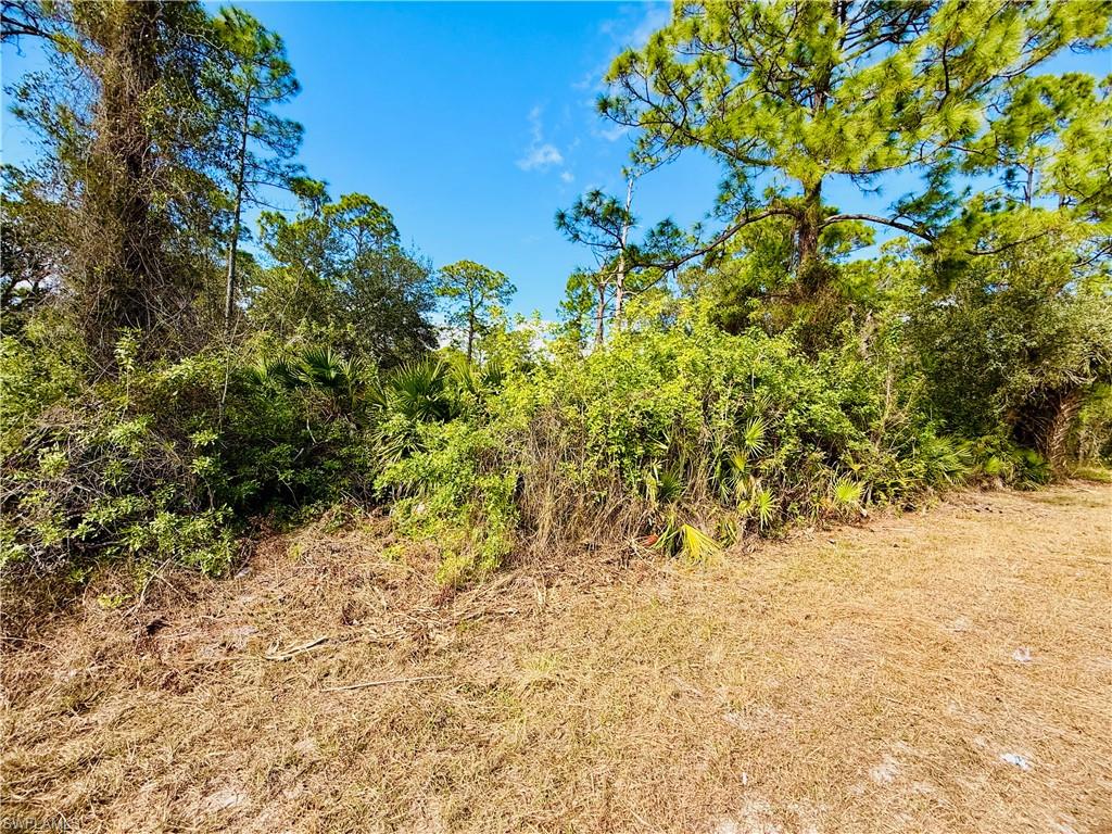 LEHIGH ACRES - Land