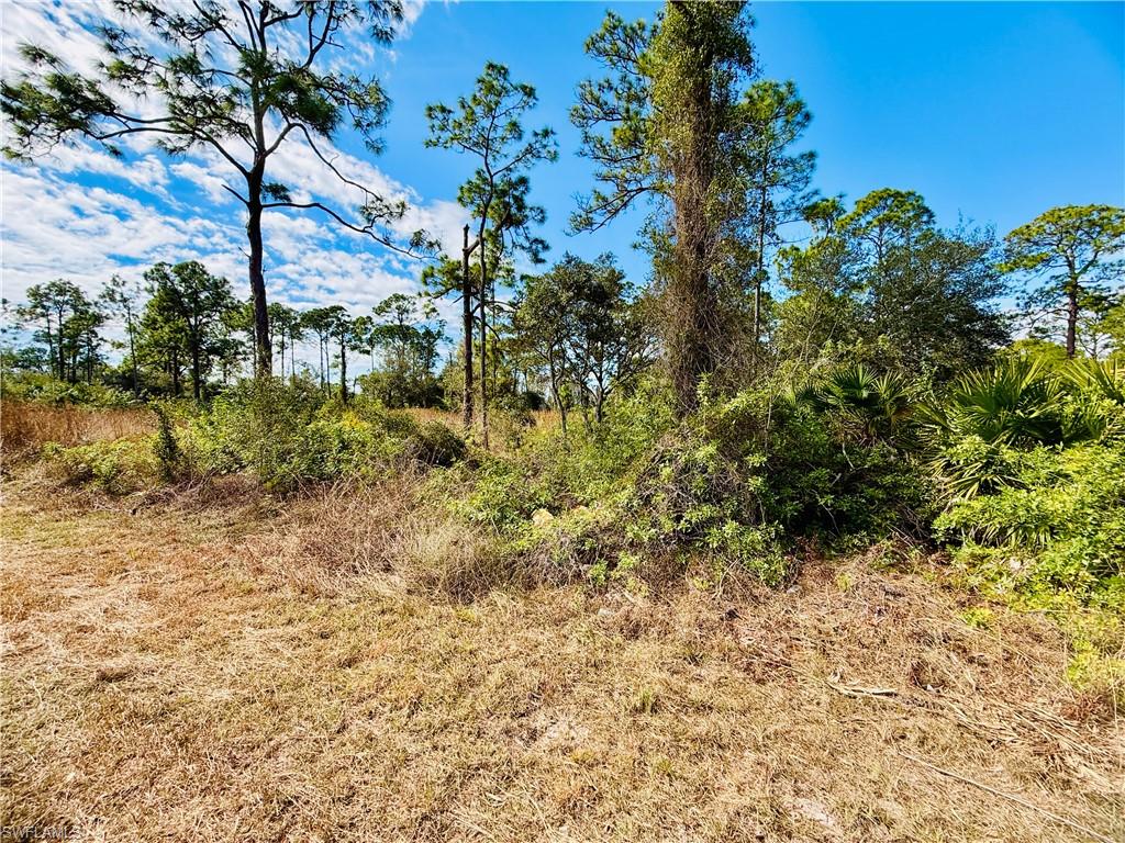 LEHIGH ACRES - Land