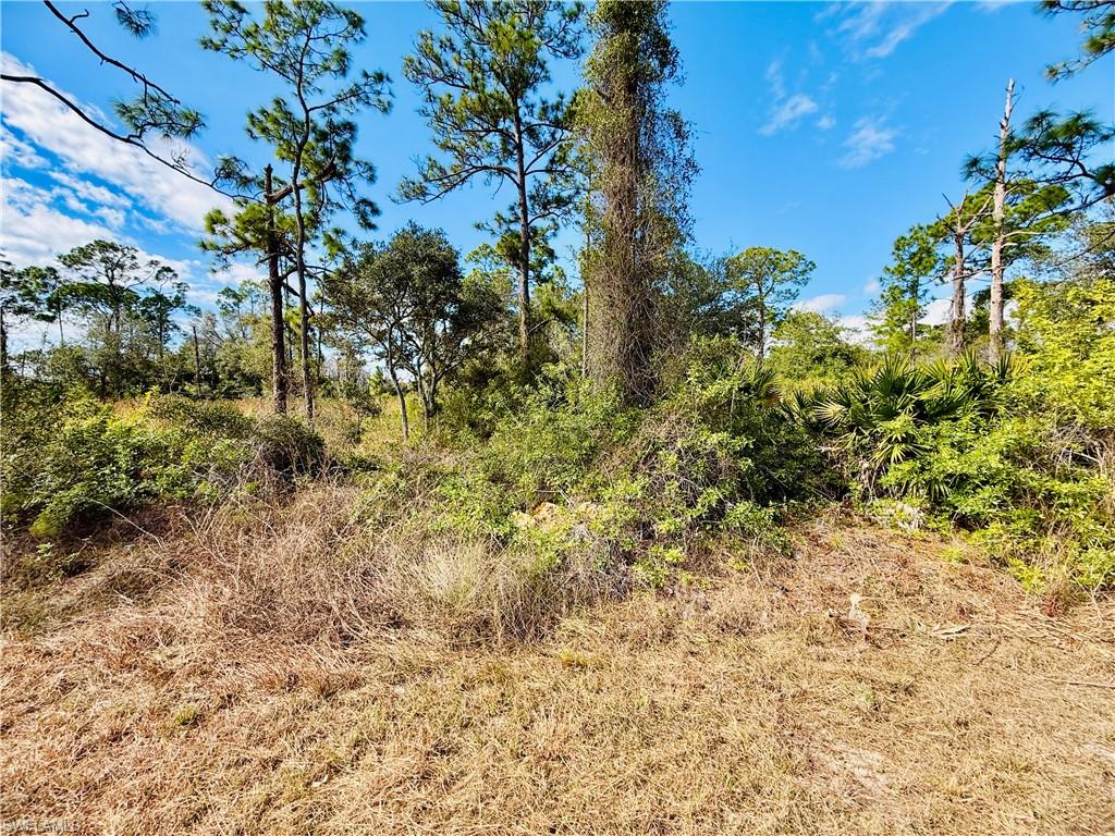 LEHIGH ACRES - Land