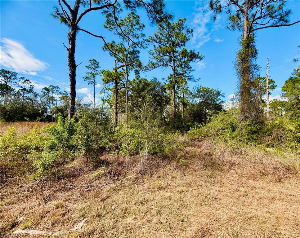 LEHIGH ACRES - Land