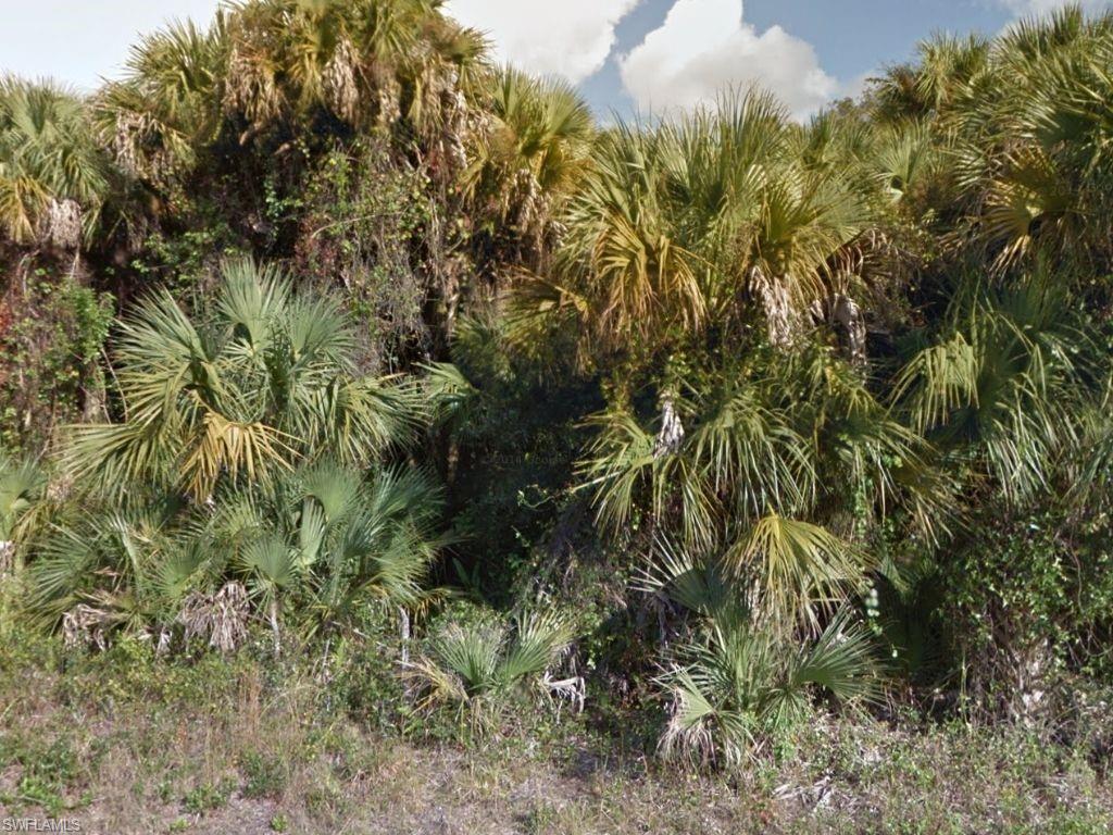 LEHIGH ACRES - Land