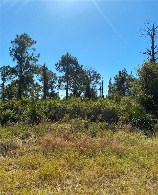 LEHIGH ACRES - Land