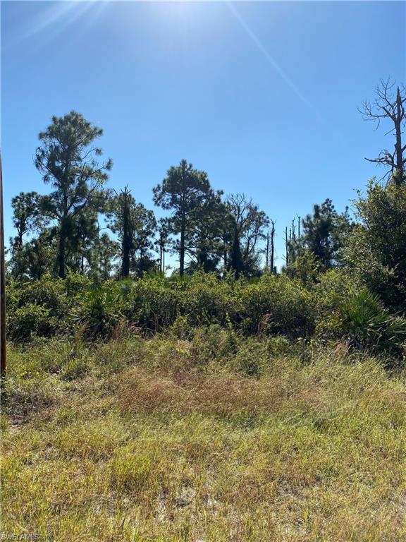 LEHIGH ACRES - Land