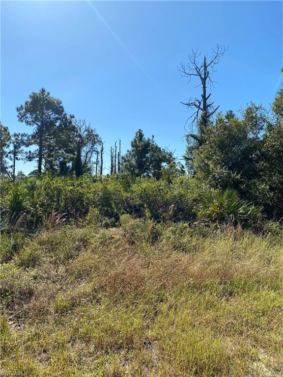 LEHIGH ACRES - Land