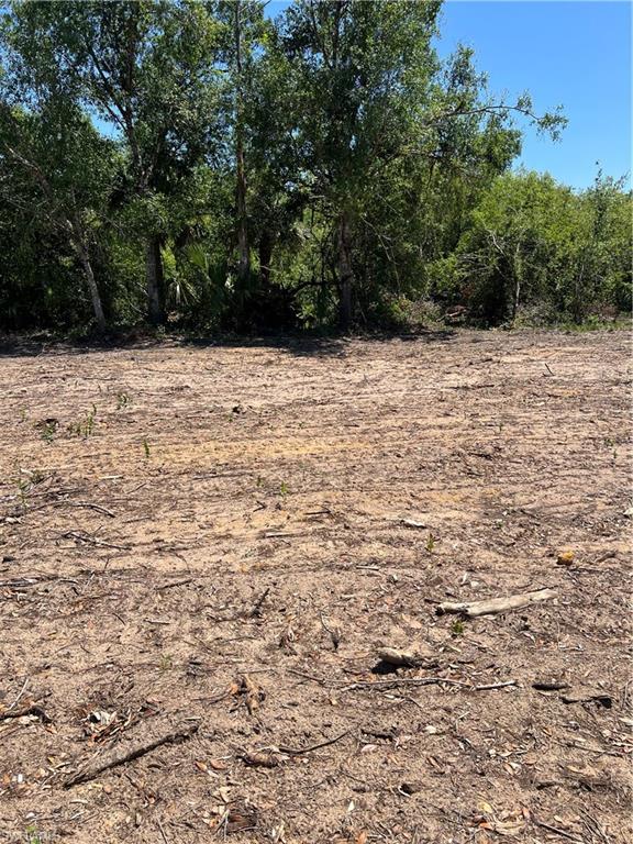 LEHIGH ACRES - Land