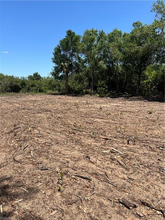 LEHIGH ACRES - Land