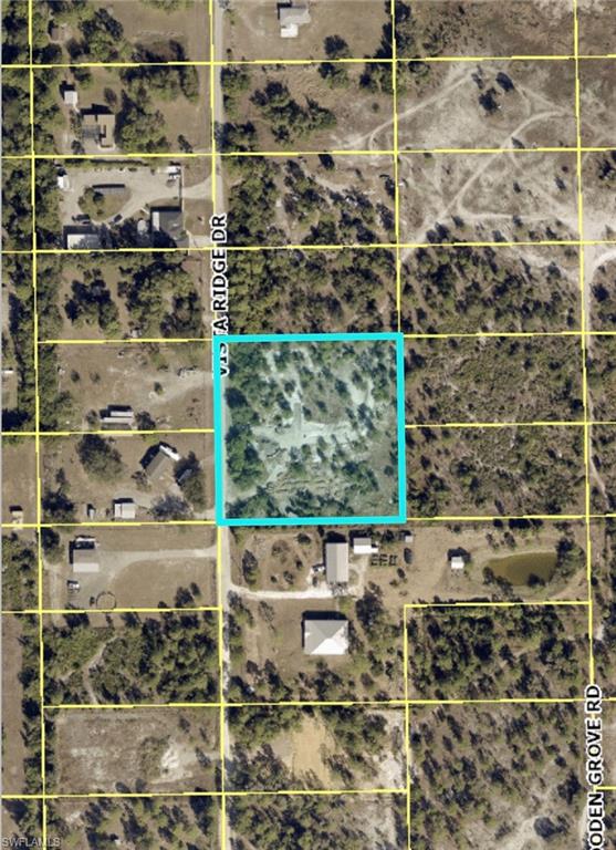 2.5 acres of agricultural land for sale. Zoned AG2 and can have one single family home. Close to SR82 and Daniels Pkwy. Shopping, schools, RSW airport and more are just minutes away. Take a look today!