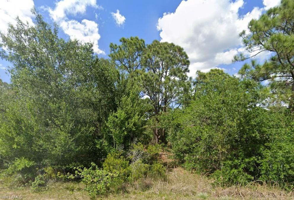 LEHIGH ACRES - Land