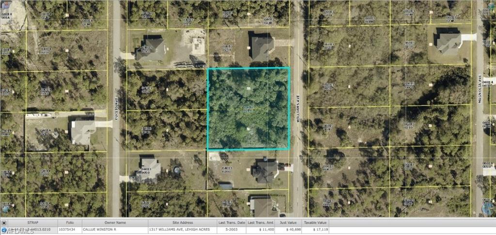 Great opportunity for a full one-acre lot in a popular rapidly developing area of Lehigh Acres.