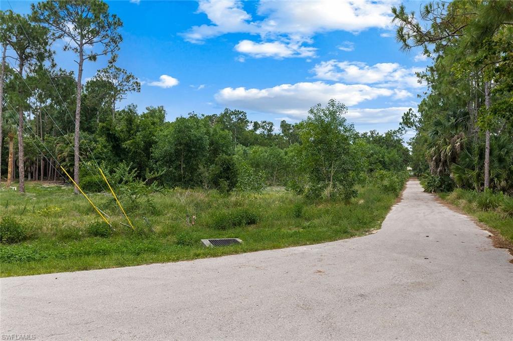 SAN CARLOS ESTATES - Land