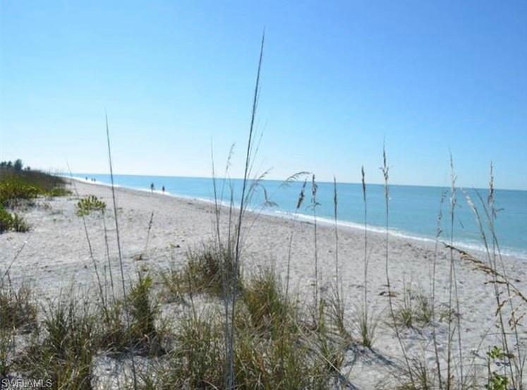 SEA OATS - Land
