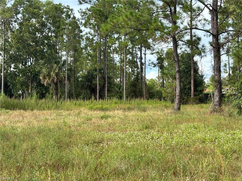 LEHIGH ACRES - Land