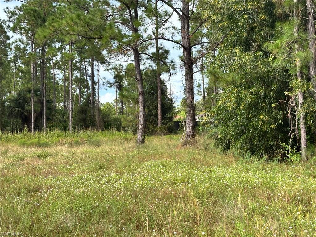 LEHIGH ACRES - Land