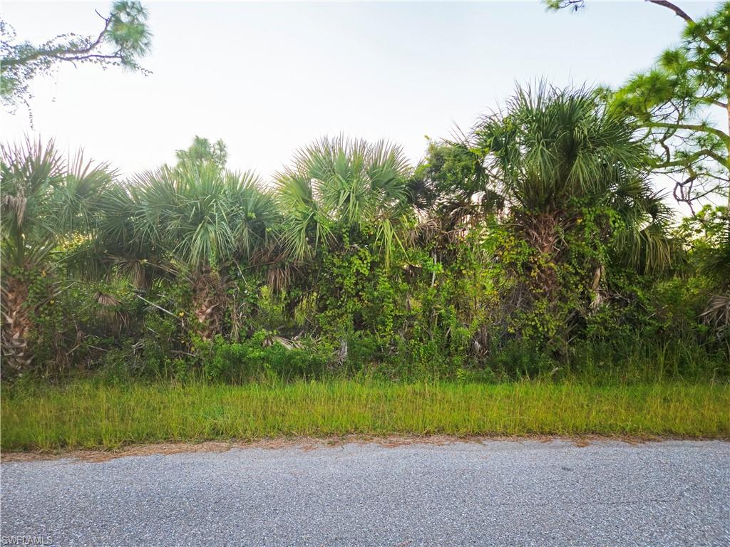 SOUTH GULF COVE - Land