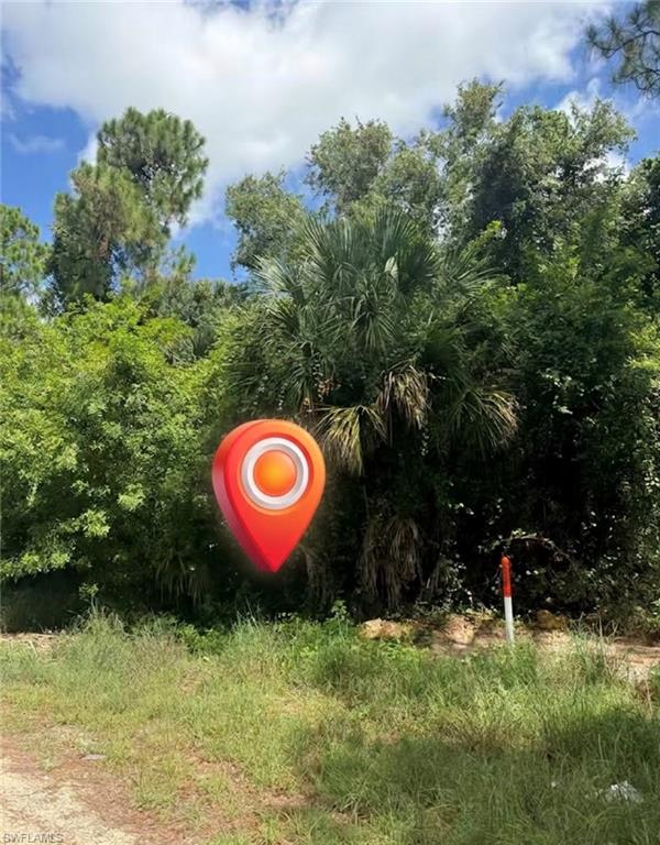 Motivated Seller – Bring All Offers! Build your dream home on this oversized 0.26-acre lot in growing Lehigh Acres. Great opportunity for homeowners, builders, or investors with plenty of space for a custom home, pool, and outdoor living. No HOA! Conveniently located near SR-82, shopping, dining, schools, Fort Myers, RSW Airport, and Gulf Coast beaches. Underground cable/internet available. Property requires well and septic; electric is nearby with homes located behind the property.