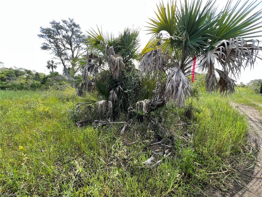 PUNTA GORDA - Land