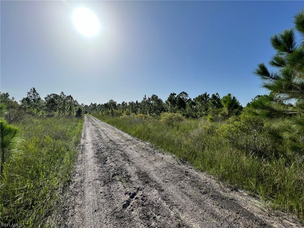 PUNTA GORDA - Land