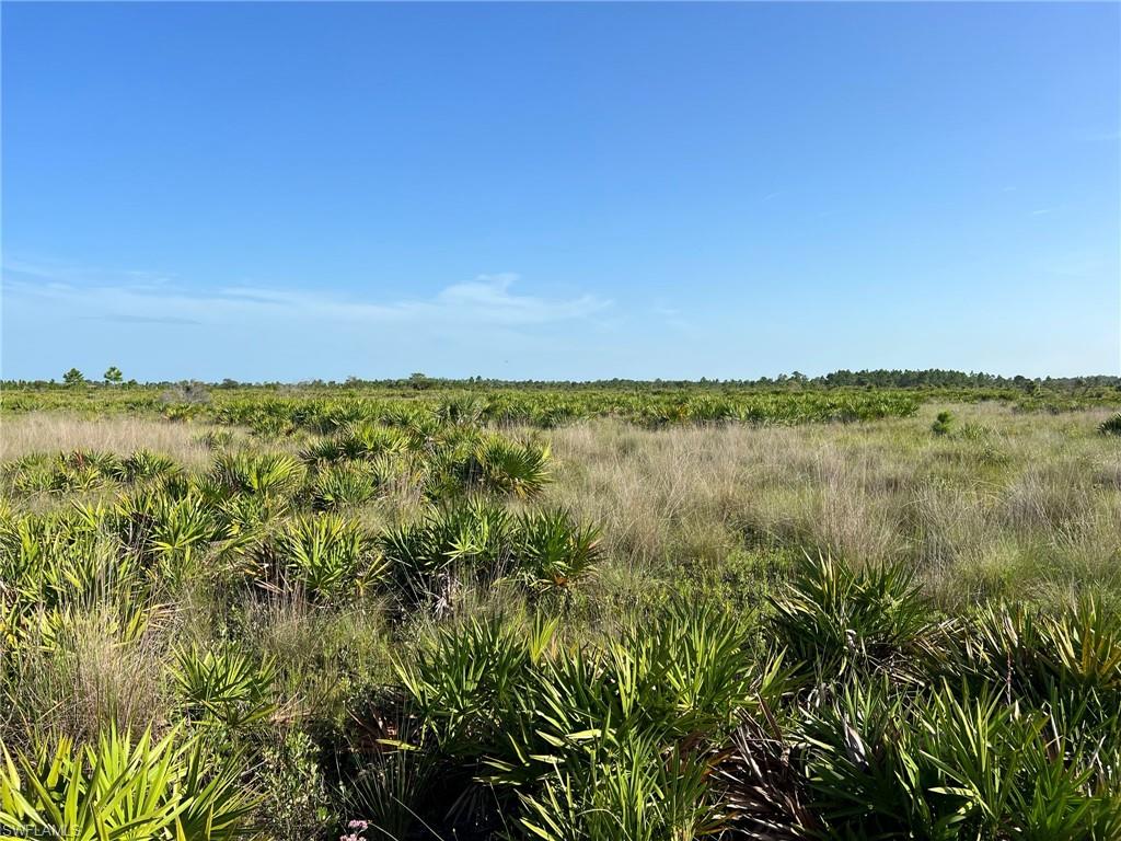 PUNTA GORDA - Land