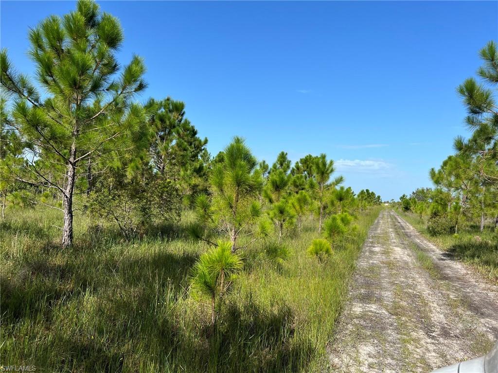 PUNTA GORDA - Land