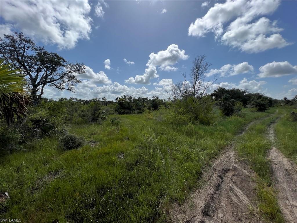 PUNTA GORDA - Land