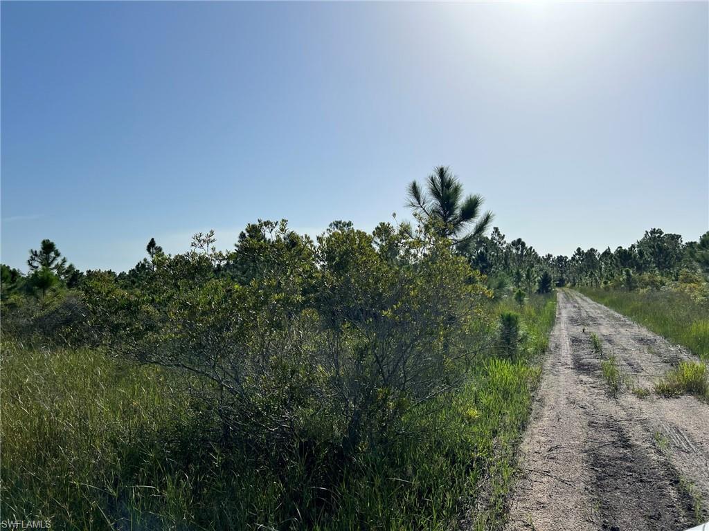 PUNTA GORDA - Land