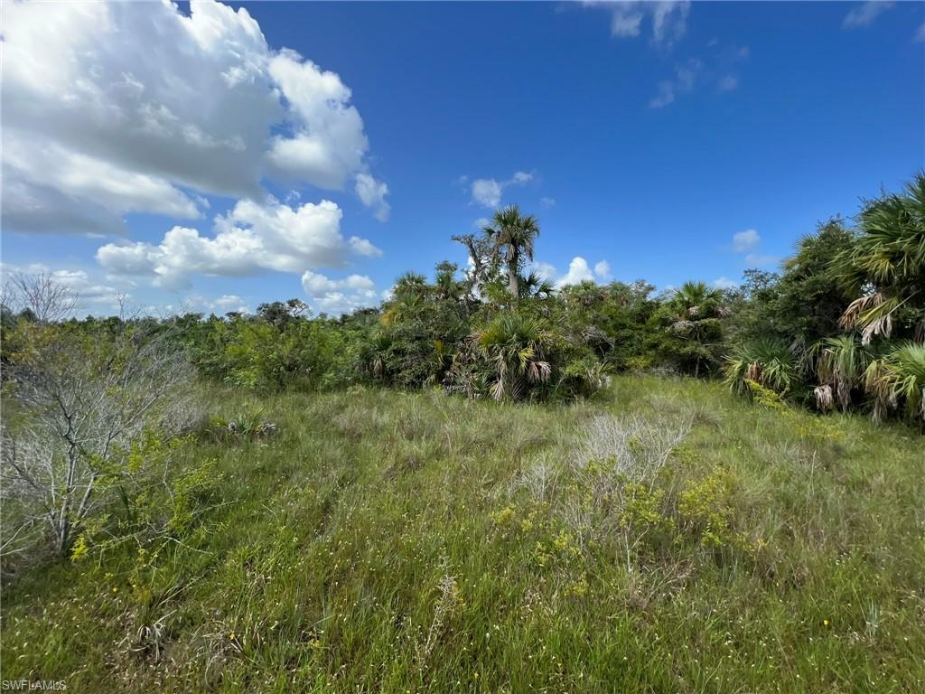 PUNTA GORDA - Land