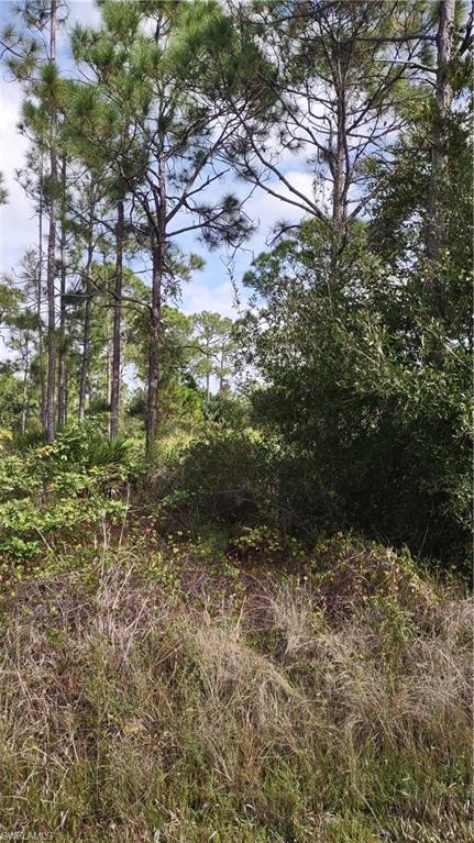 TROPICAL GULF ACRES - Land