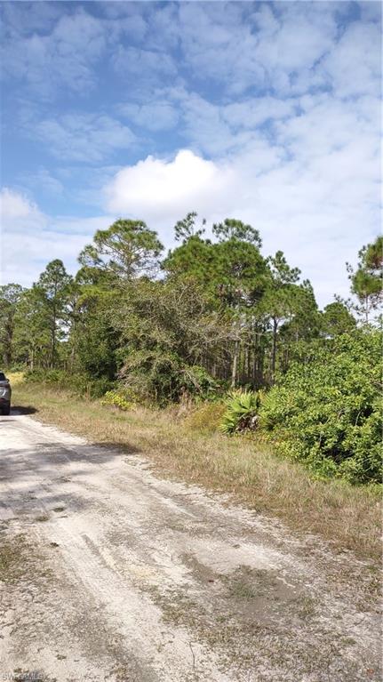 This is a nice lot in Tropical Gulf acres. call with any questions
