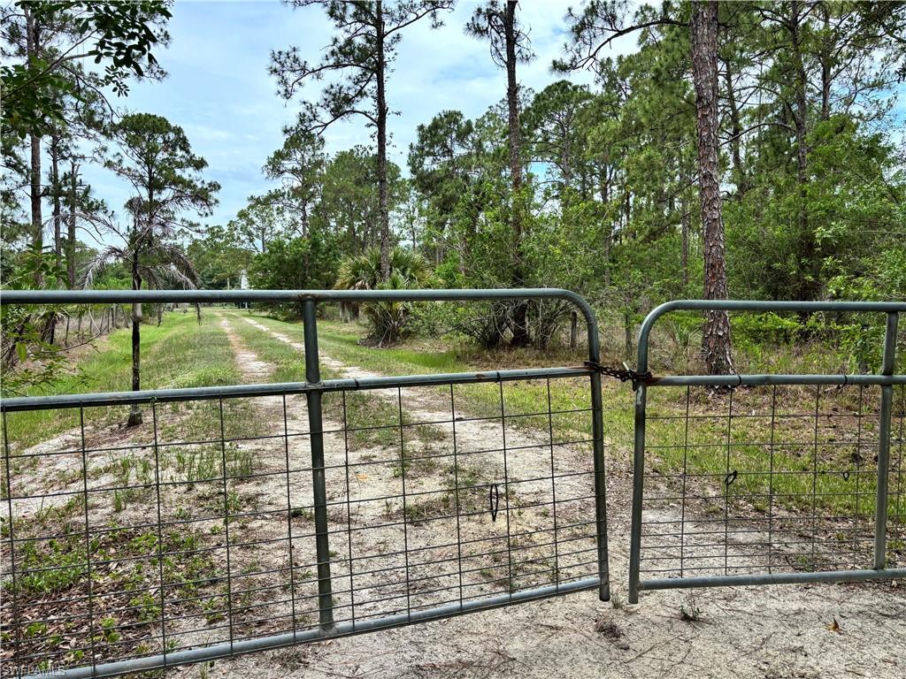 PIONEER PLANTATION - Residential Lease
