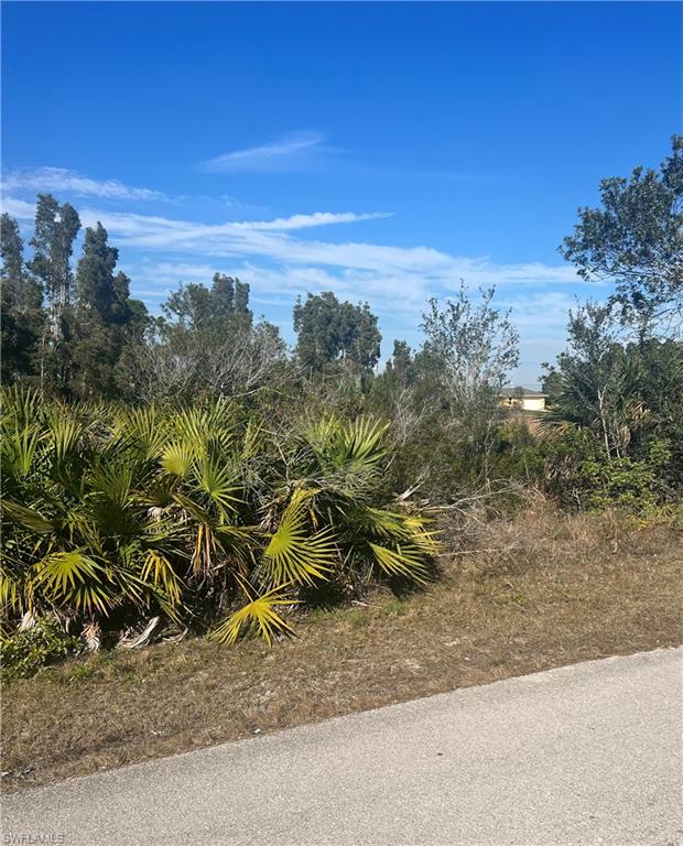 LEHIGH ACRES - Land
