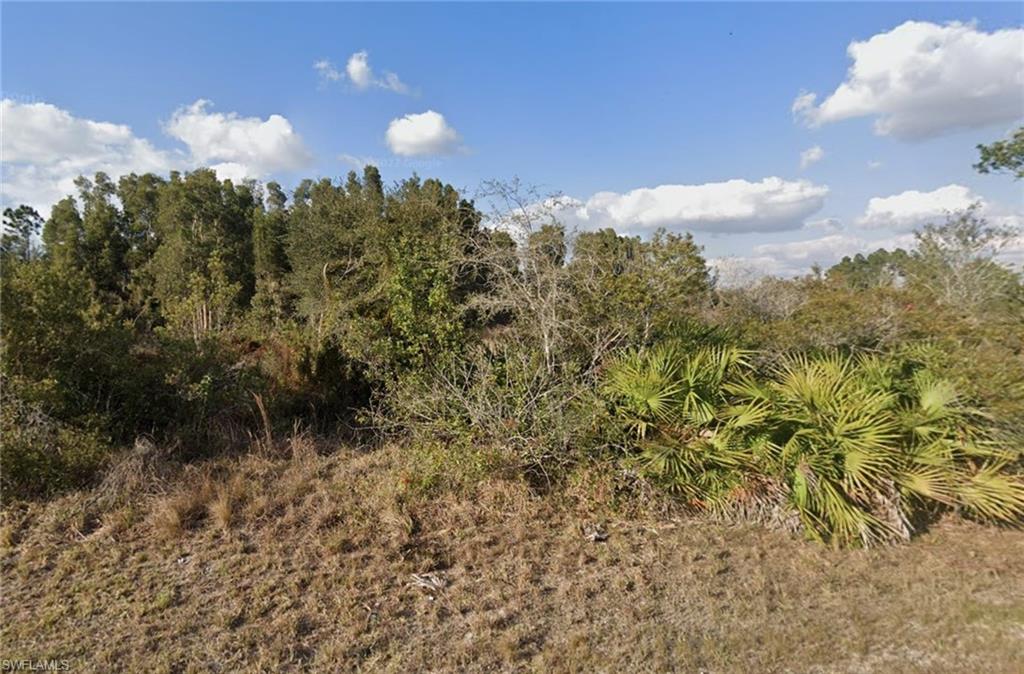 LEHIGH ACRES - Land
