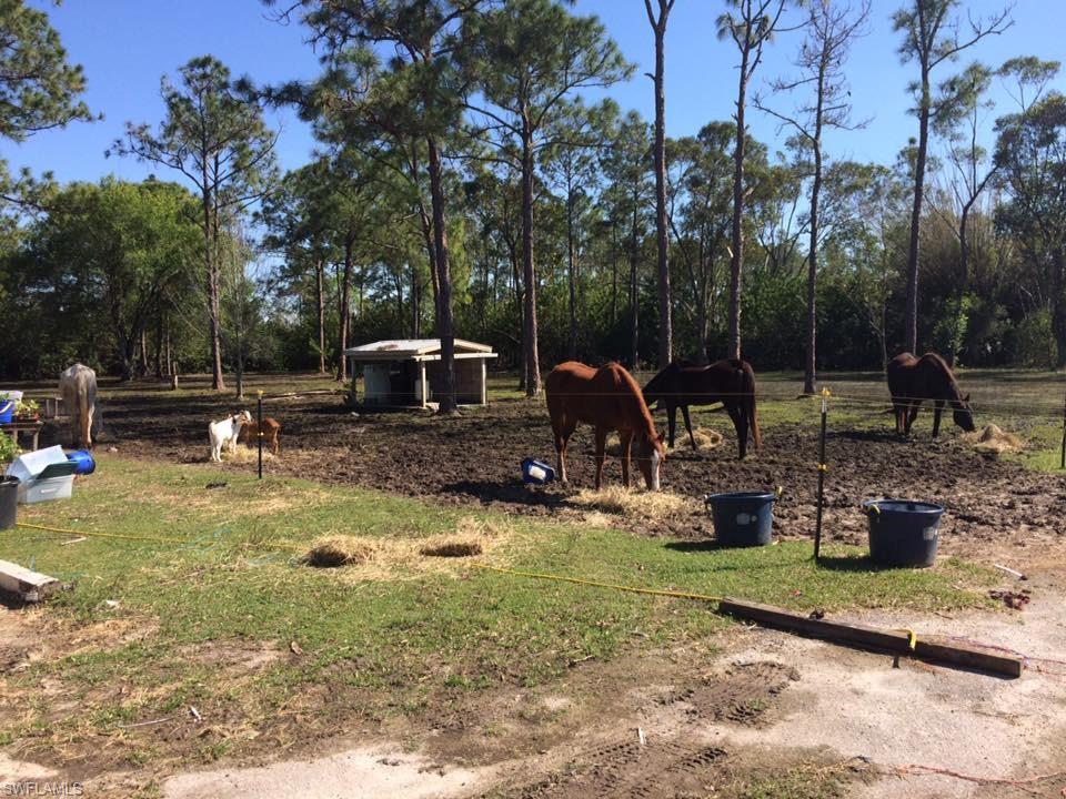 WHISPERING PINES - Residential