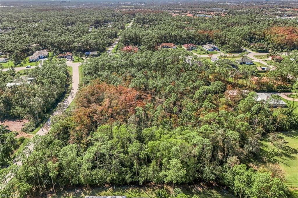 SAN CARLOS ESTATES - Land