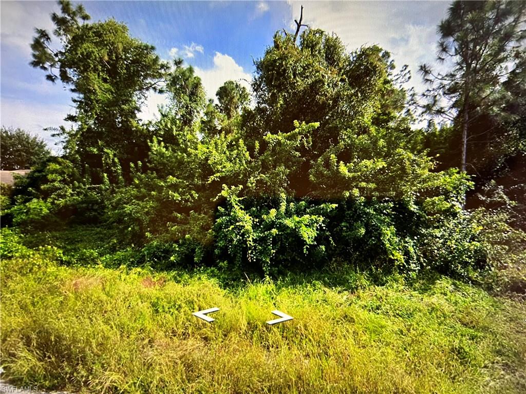LEHIGH ACRES - Land