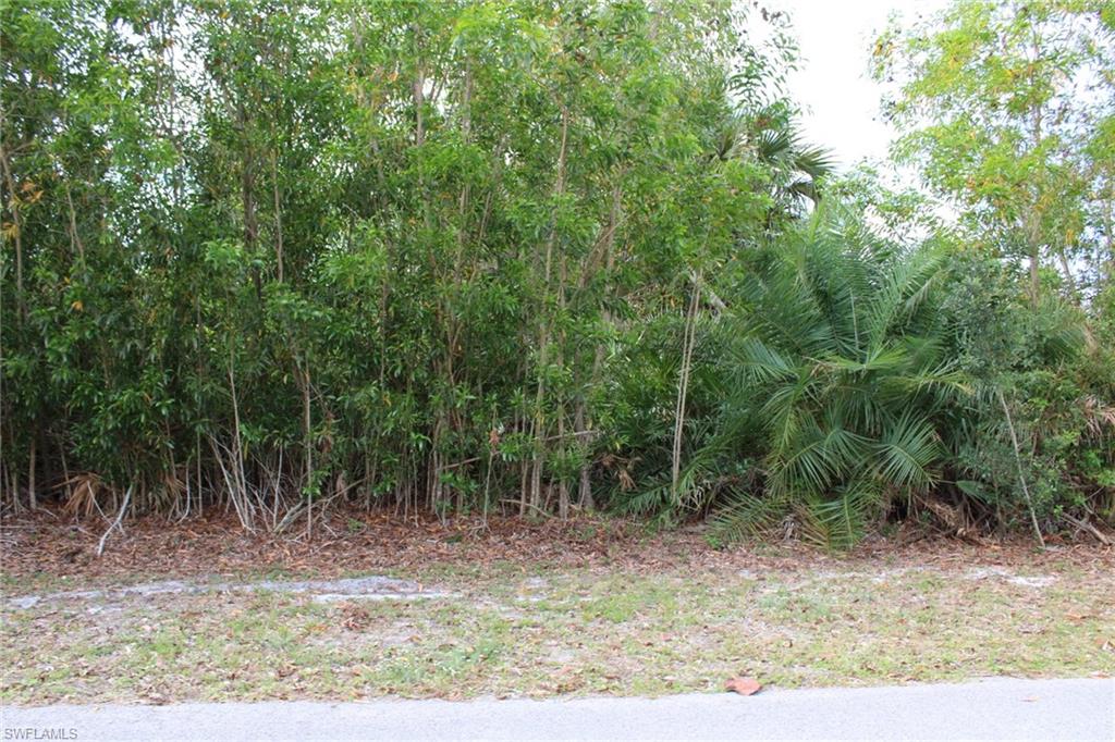 PINE ISLAND VILLAGE - Land
