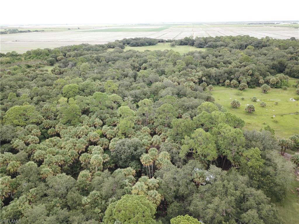 CLEWISTON - Land