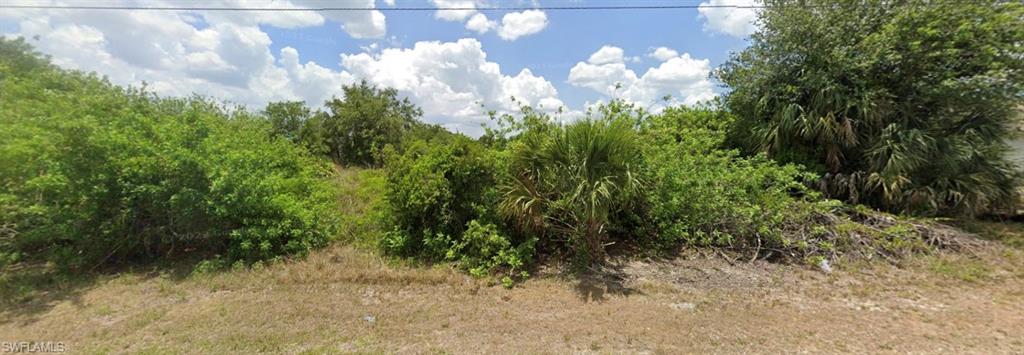 LEHIGH ACRES - Land