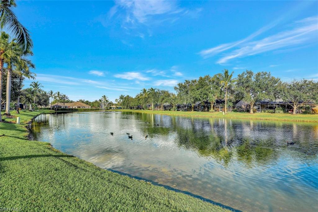 IBIS COVE - Residential