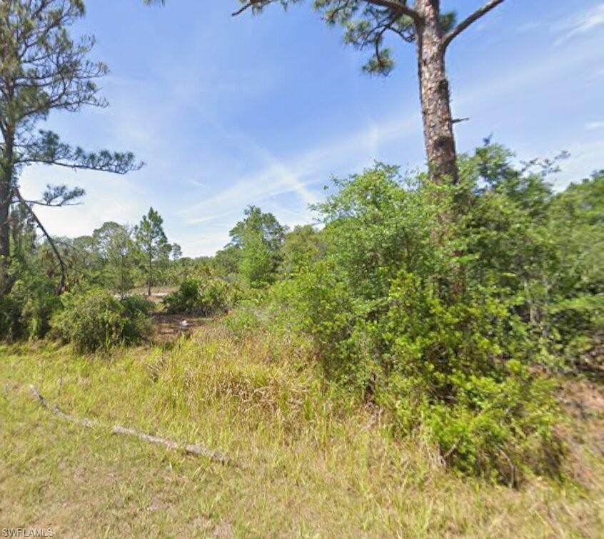 CALOOSA LAKES - Land