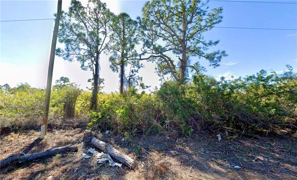 LEHIGH ACRES - Land
