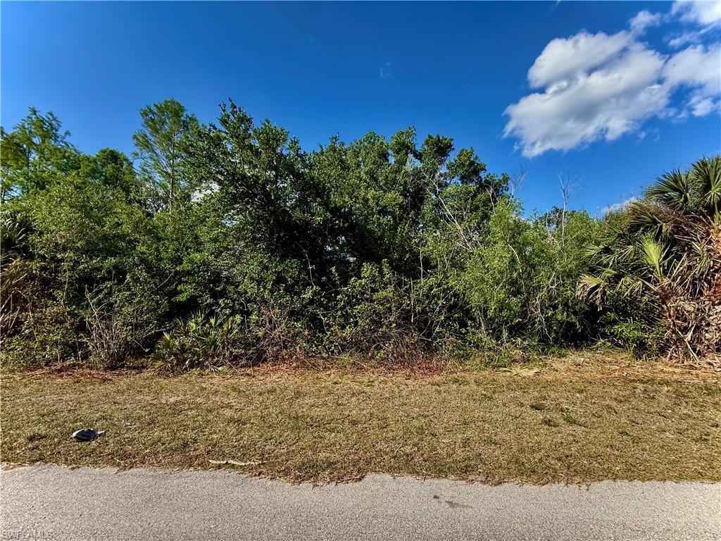 LEHIGH ACRES - Land