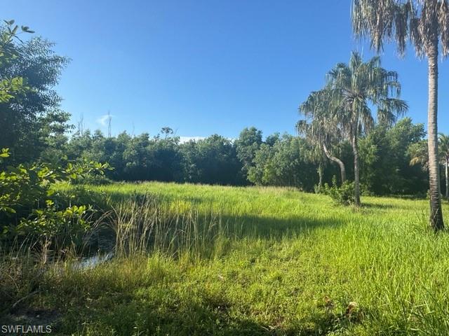 PINE ISLAND RIDGE - Land