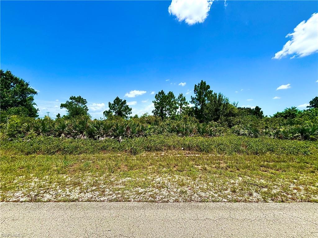 GREAT LOCATION on a DEAD END in the HIGHLY DESIRABLE SW side on a quiet paved street with utilities available just minutes from major amenities, and a quick commute in Fort Myers. Come build your DREAM HOME or INVEST today!