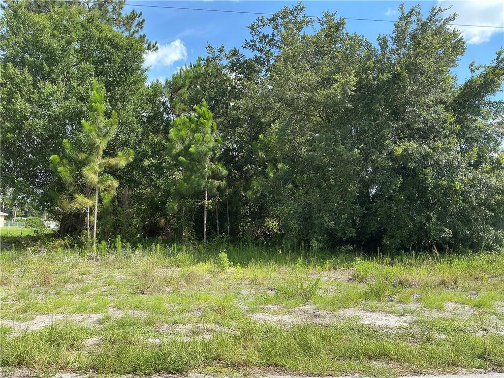 Build your Florida dream home on this 0.25-acre residential lot in a peaceful, growing neighborhood. This build-ready property offers the convenience of power available and paved road frontage, making it an excellent opportunity for your custom home or investment. With no wetlands and no gopher tortoise burrows, helping streamline the path toward development. Enjoy the privacy of a quiet setting while remaining close to shopping, dining, schools, parks, and major roadways. Whether you're building now or investing for the future, this property combines location, convenience, and confidence in one exceptional homesite.