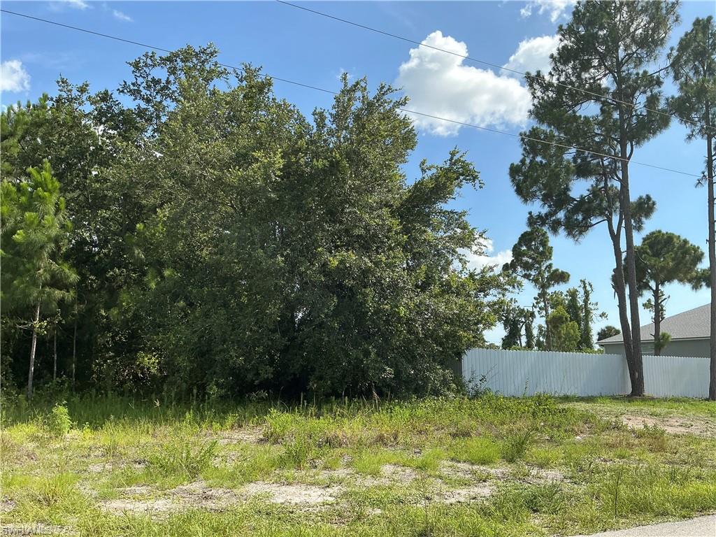 LEHIGH ACRES - Land