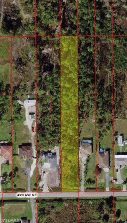 1.14 acre lot in Golden Gate Estates on a street that has many new build homes. Great opportunity to build your dream home in a fast growing area of Naples with a short drive to Publix and Big Corkscrew Island Regional Park.
No environmental report available.