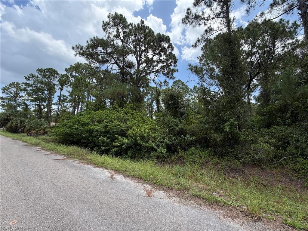 LEHIGH ACRES - Land