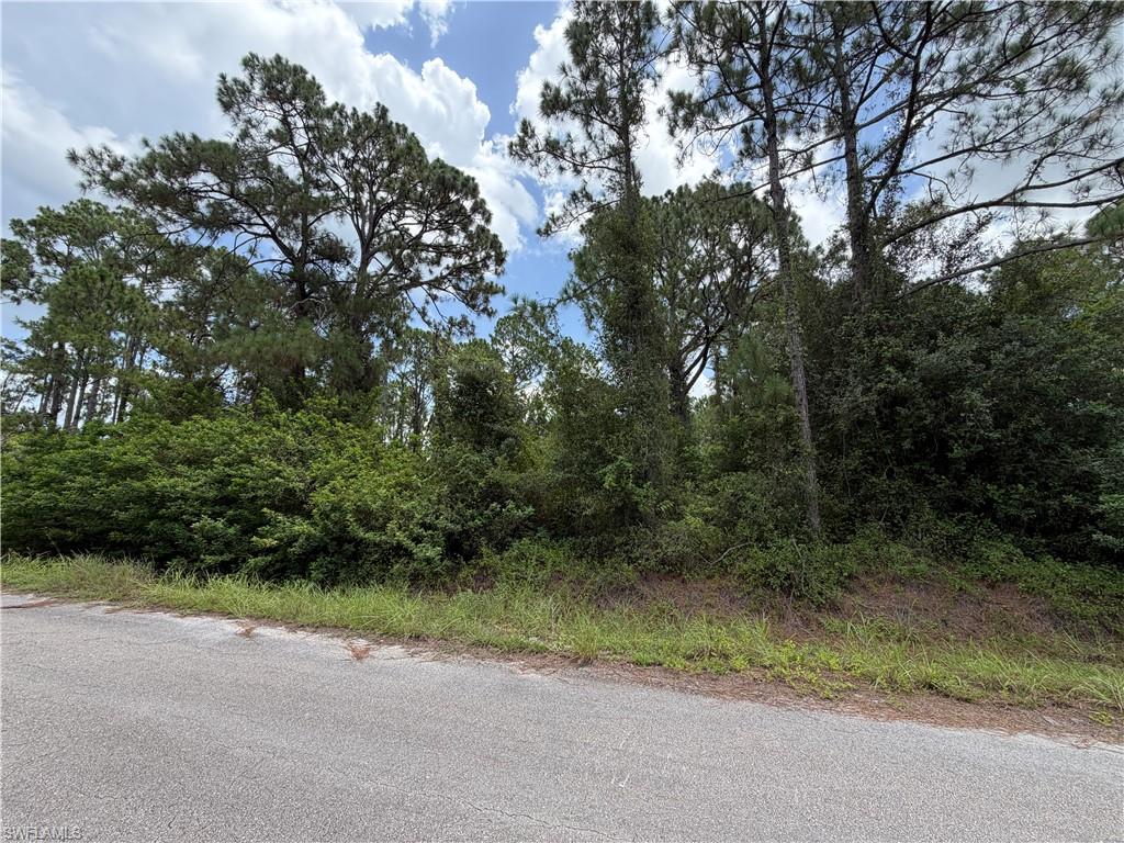 LEHIGH ACRES - Land